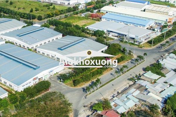 Bên trong đường nội bộ Khu công nghiệp Tân Tạo ( nguồn: internet )